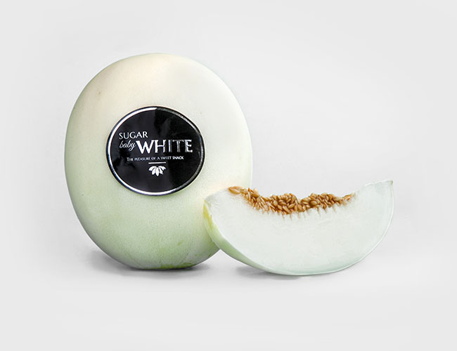 Sugar Baby Melones el Abuelo