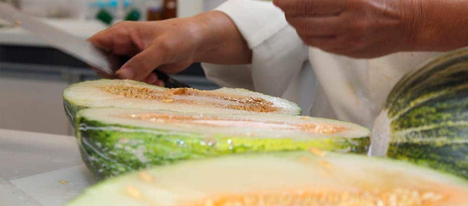 equipo de investigación del imida