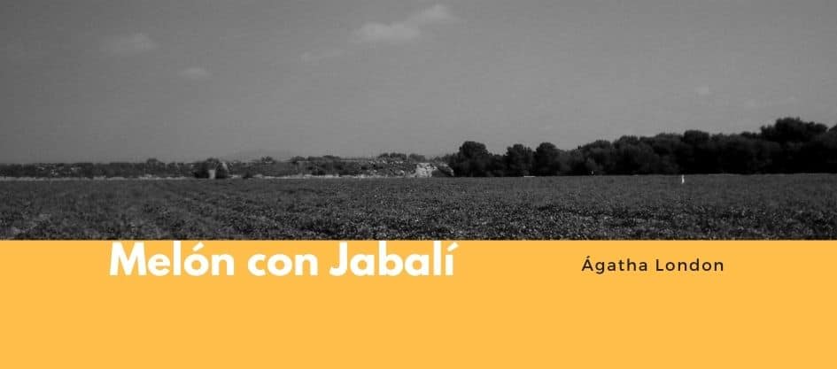MELON CON JABALI 10